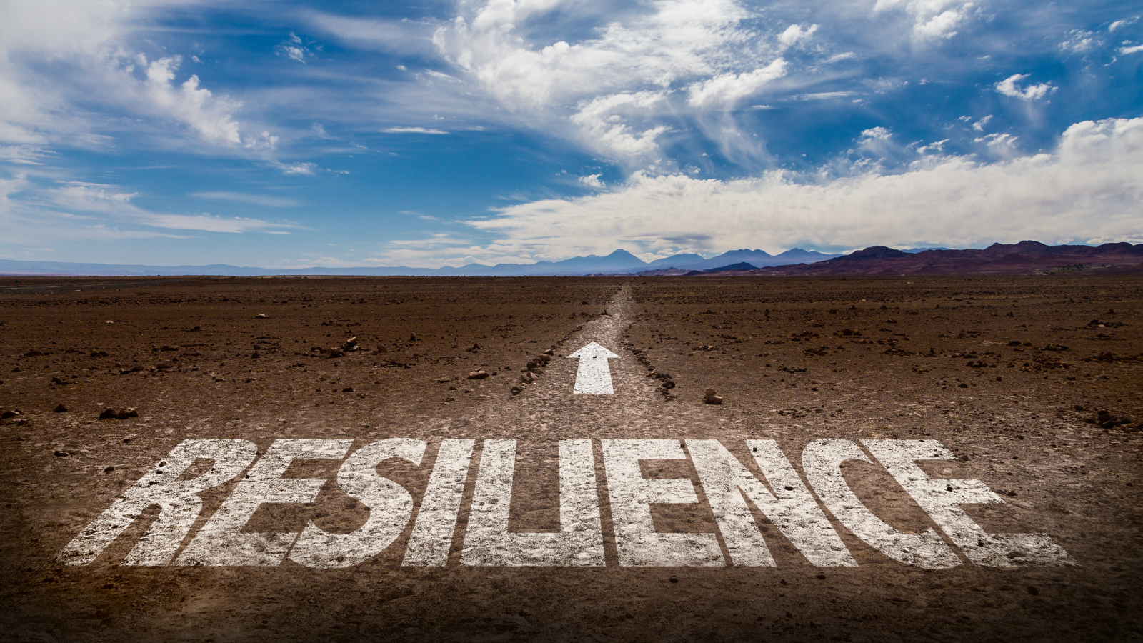 CASE COUNTRY ANALYSES AND A CROSS-COUNTRY COMPARATIVE ANALYSIS OF THE FUNCTIONING OF DISASTER RESILIENCE SYSTEMS